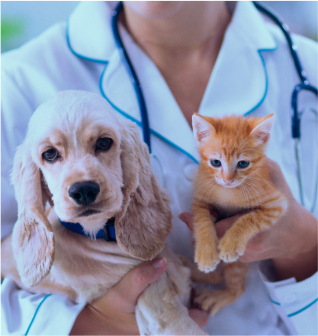 Veterinary Services